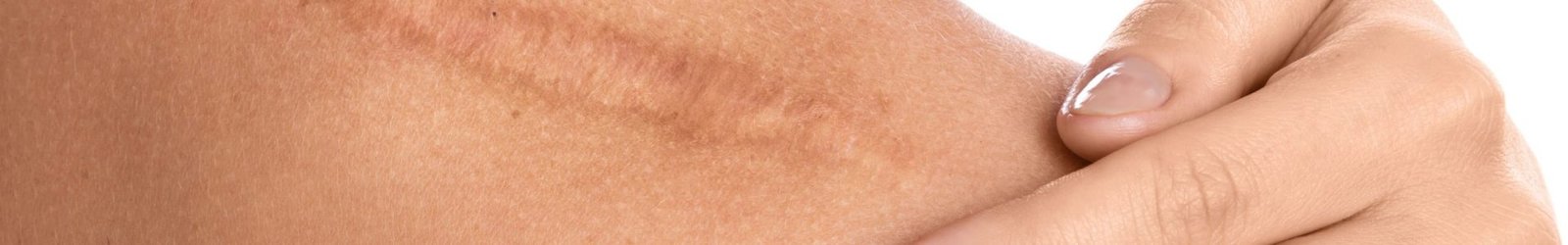 website banner (1920 x 300 px) (11)