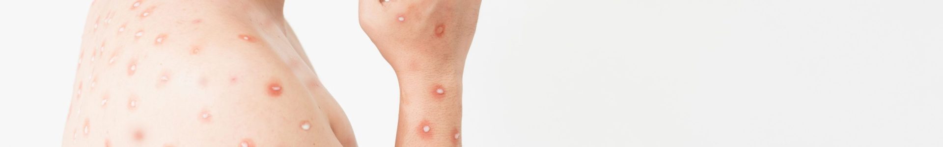 website banner (1920 x 300 px) (12)