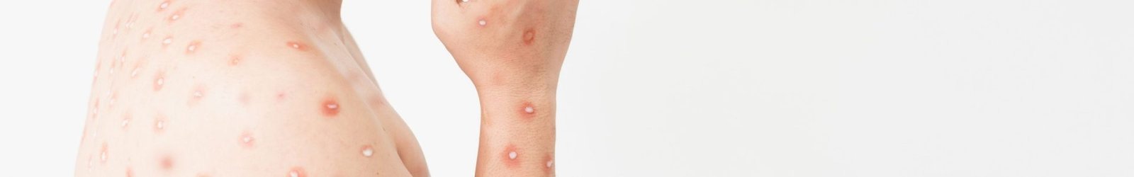 website banner (1920 x 300 px) (12)