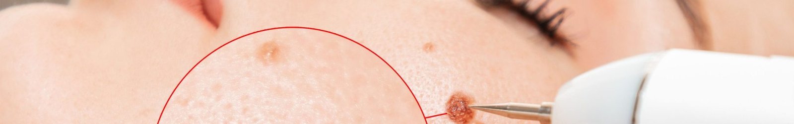 website banner (1920 x 300 px) (15)