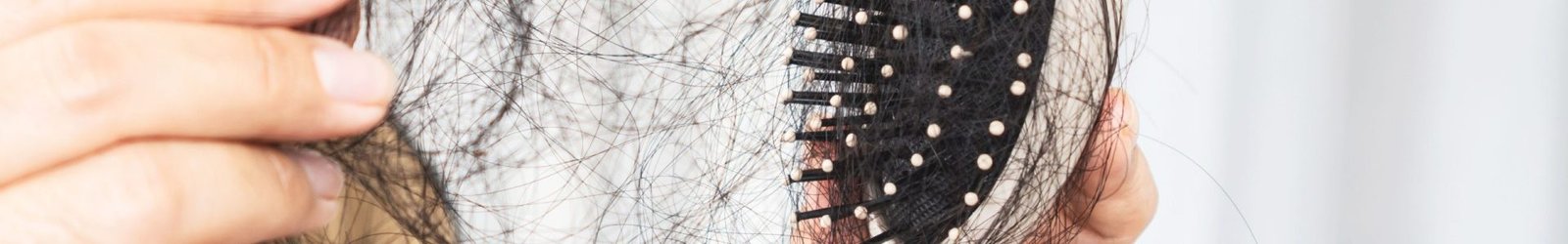 website banner (1920 x 300 px) (16)