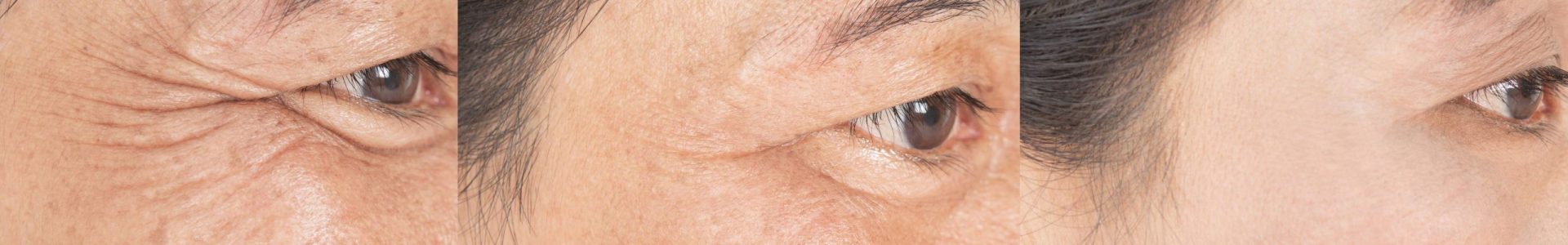 website banner (1920 x 300 px) (19)