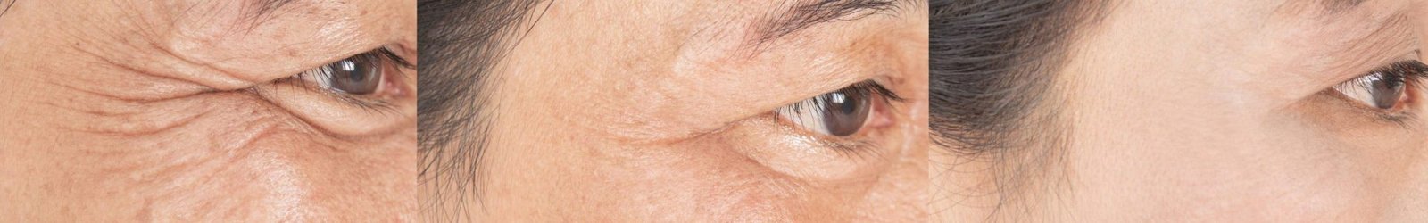 website banner (1920 x 300 px) (19)